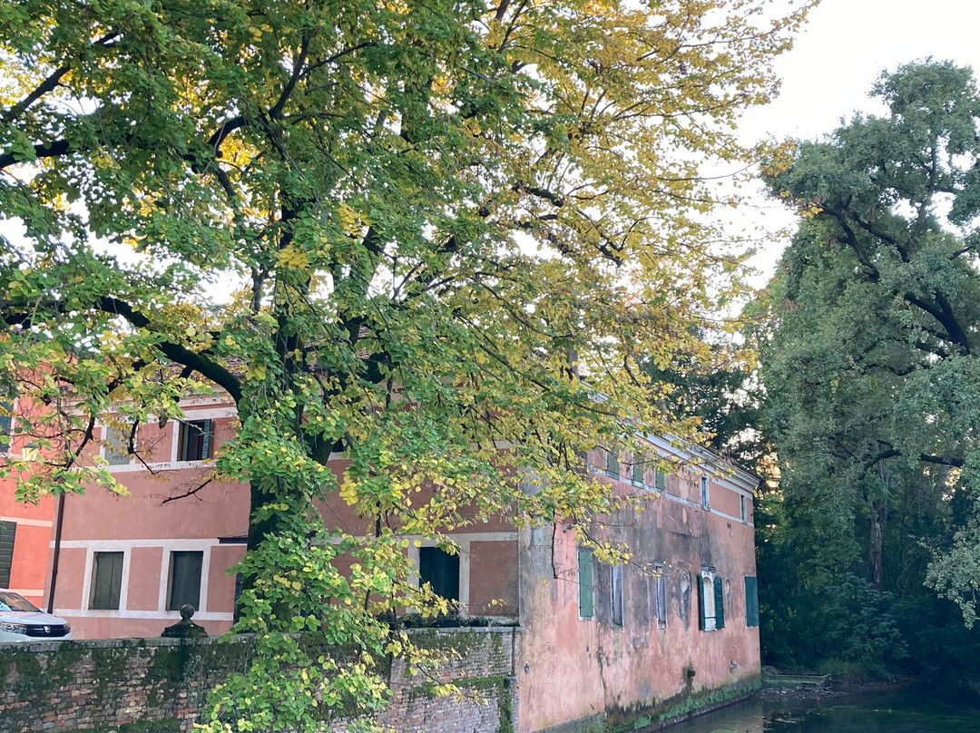 Villa Tiepolo Passi景点图片