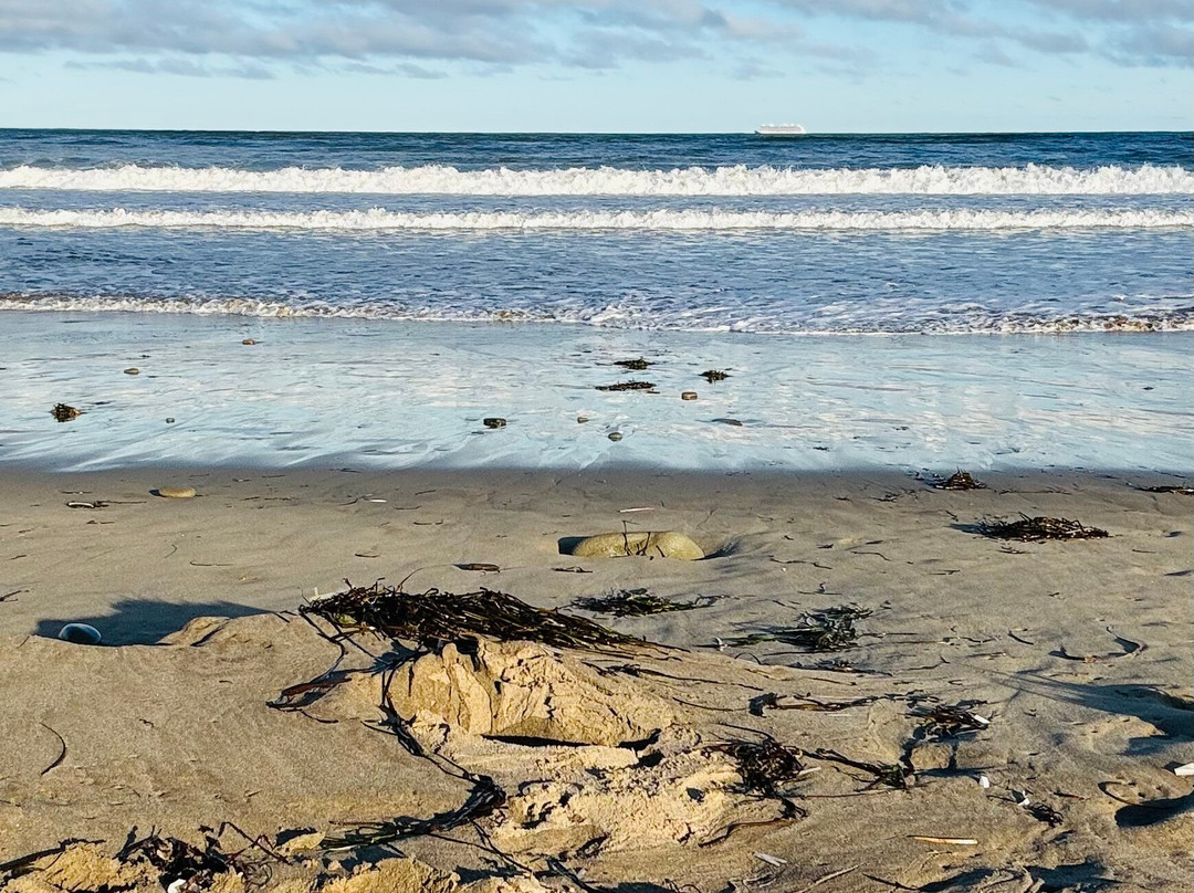 Dominion Beach Provincial Park景点图片