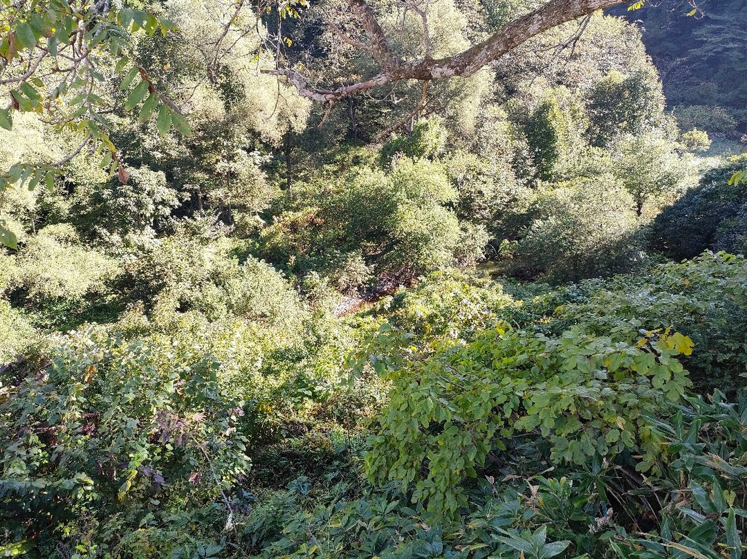 Choda Valley-尾花泽市必去景点