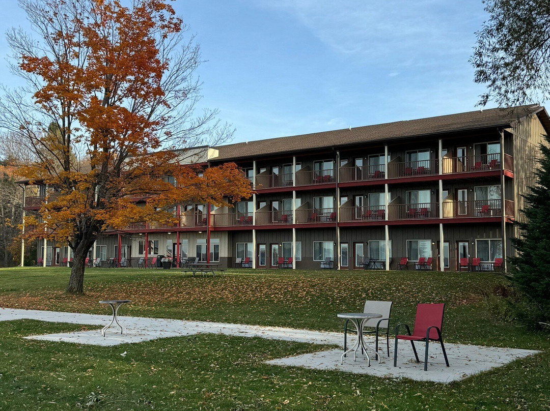 Comfort Inn & Suites主图