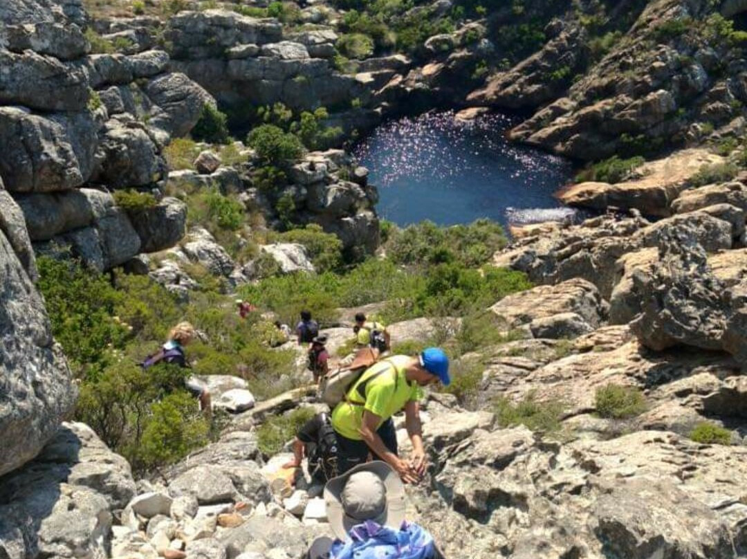 Explore the Cape Tours & Safaris-开普敦中心区必去景点