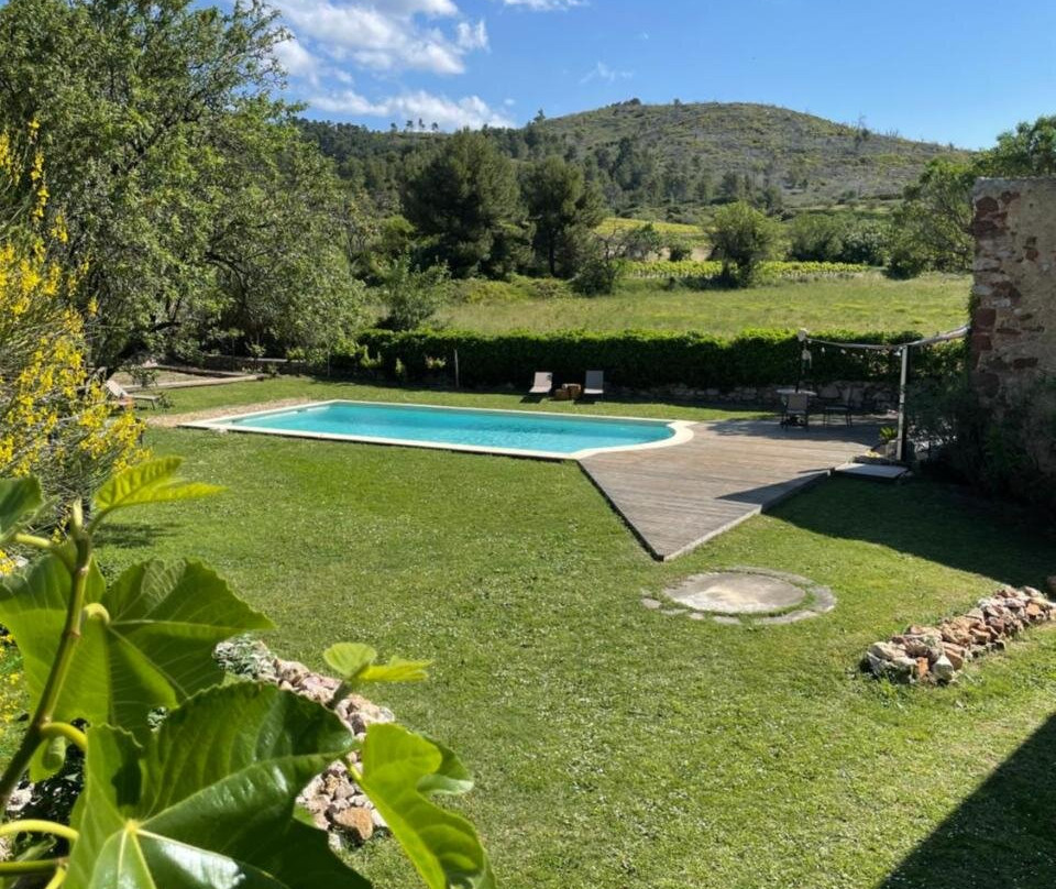 Monte Vinea