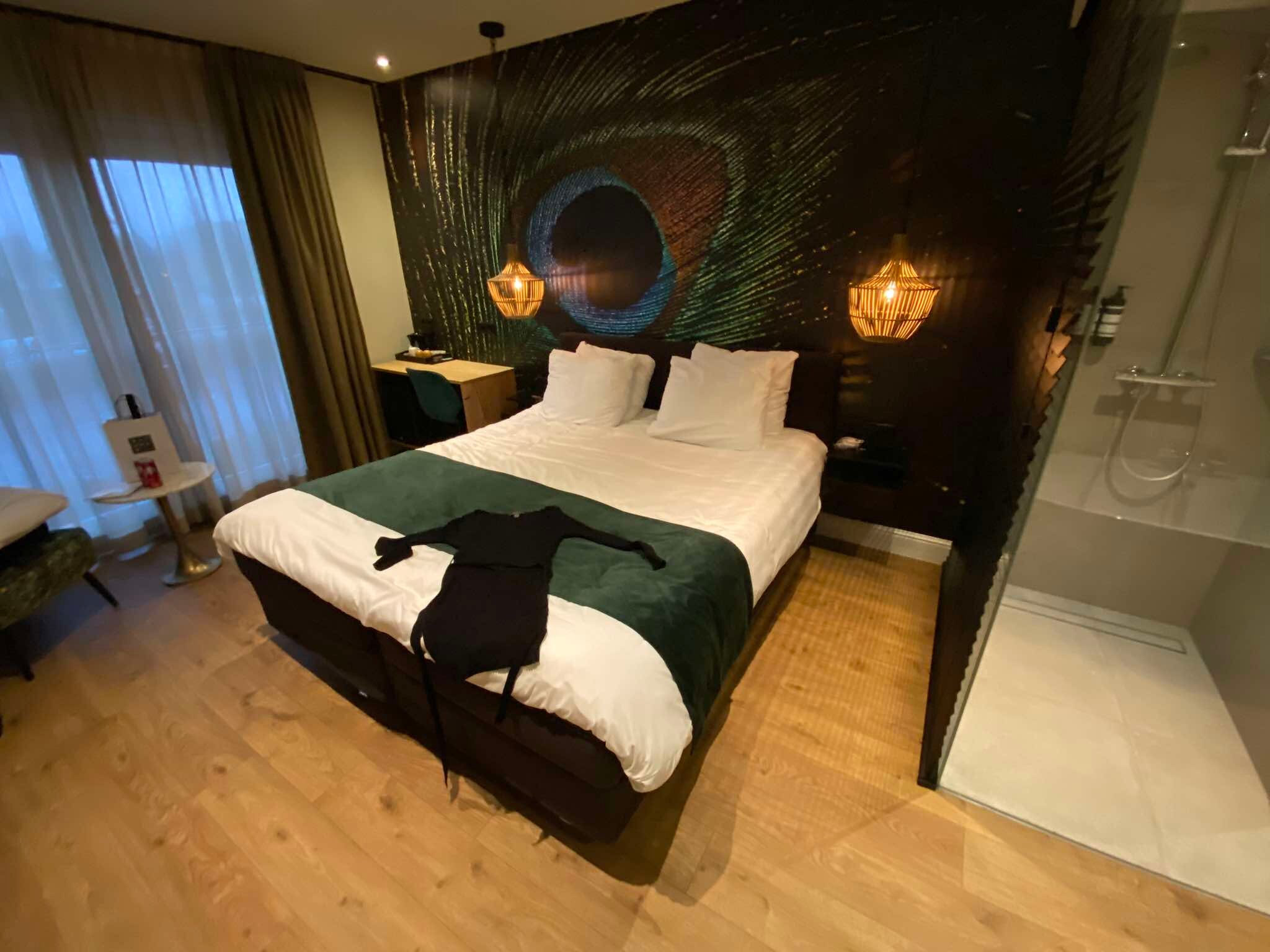 Hotel Sanders de Paauw-客卧