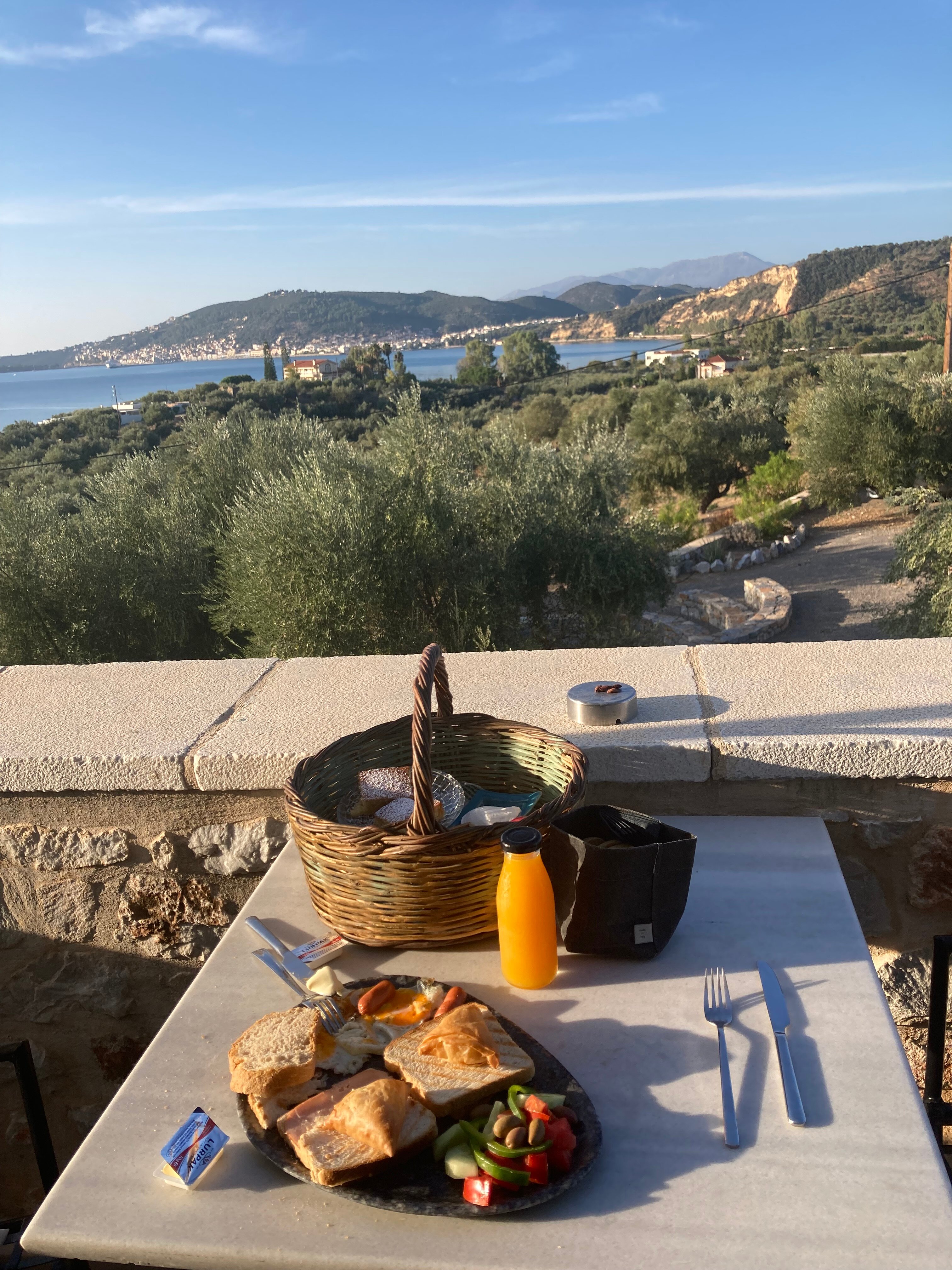 The Olive Yard -Boutique Hotel-酒店景观