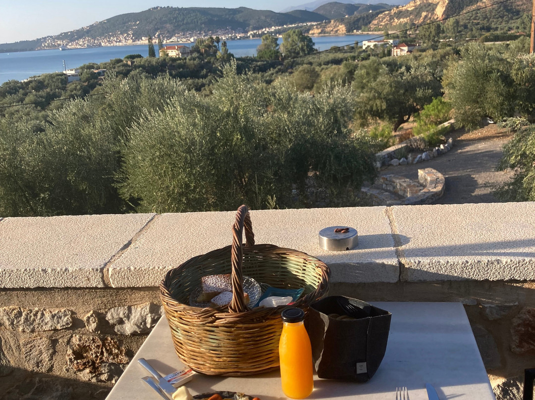 The Olive Yard -Boutique Hotel主图