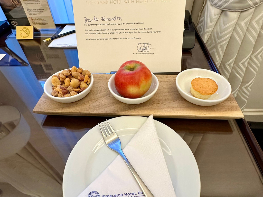 恩斯特·艾玛·多姆伊克赛尔瑟酒店主图