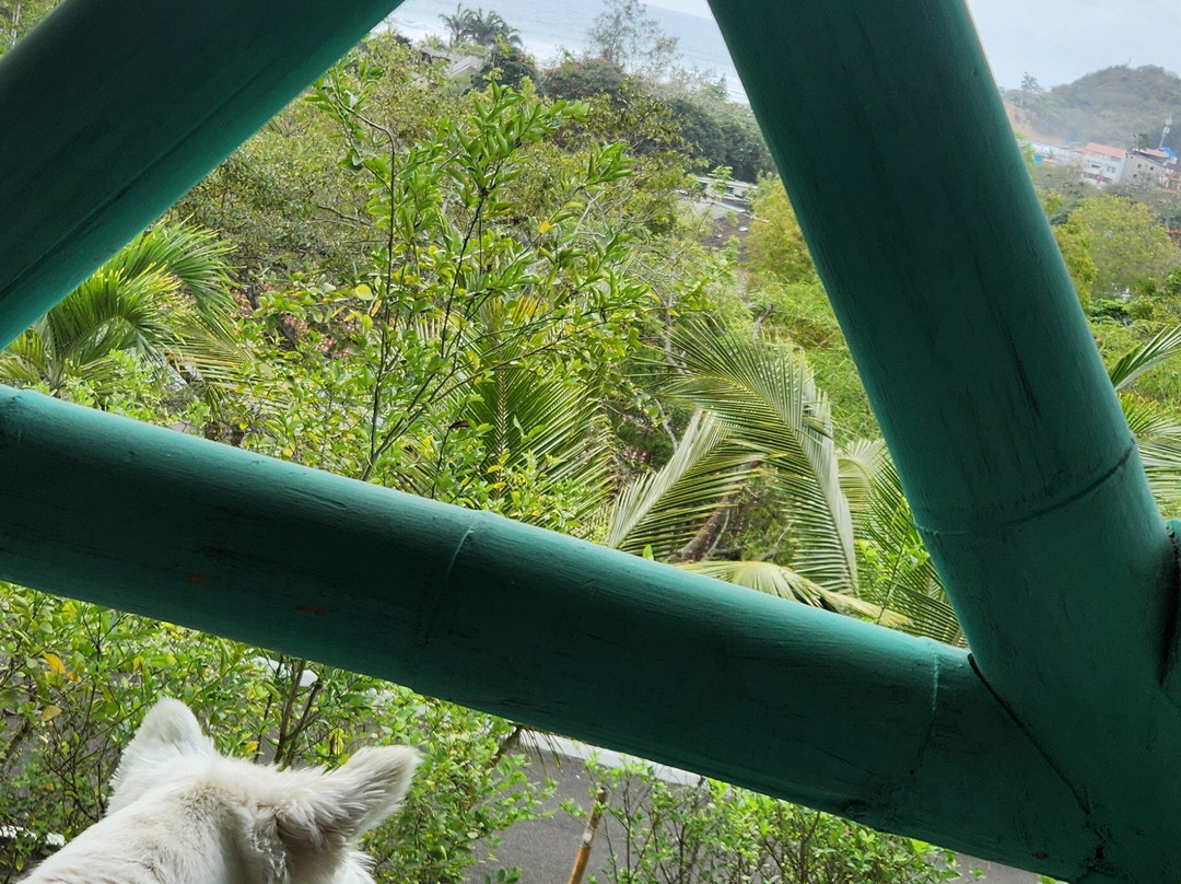 Nativa Bambu Ecolodge主图