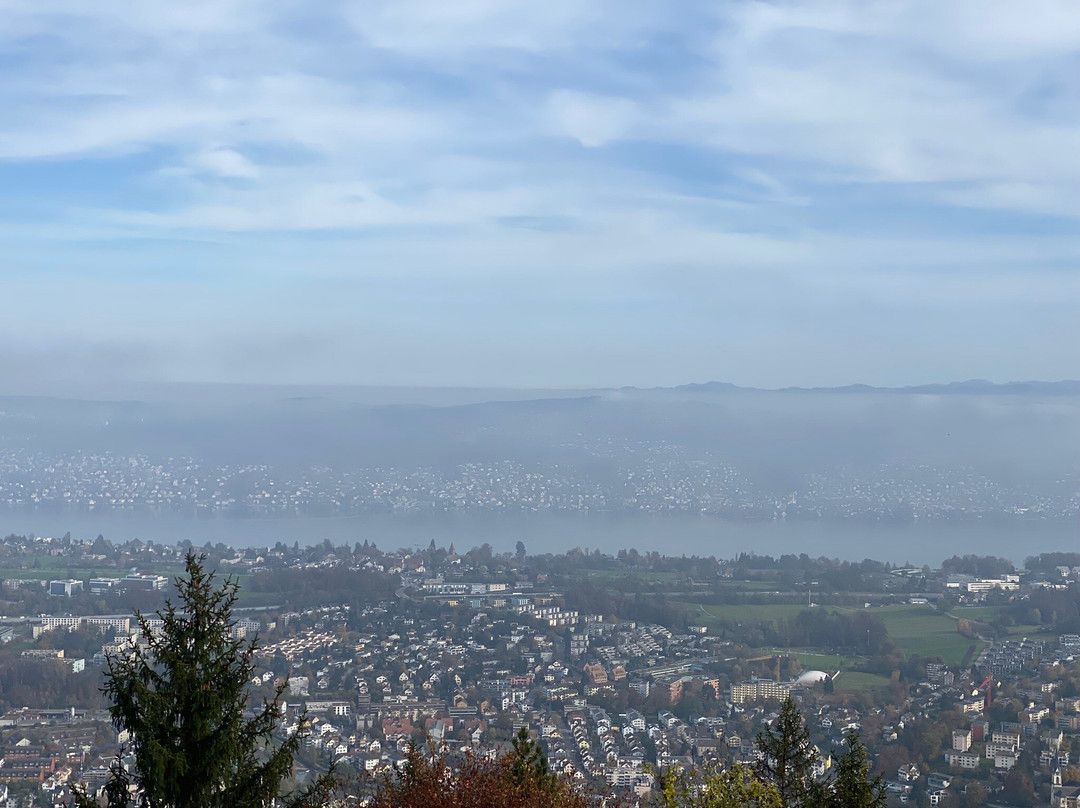Luftseilbahn Adliswil-Felsenegg LAF-阿德利斯维尔必去景点