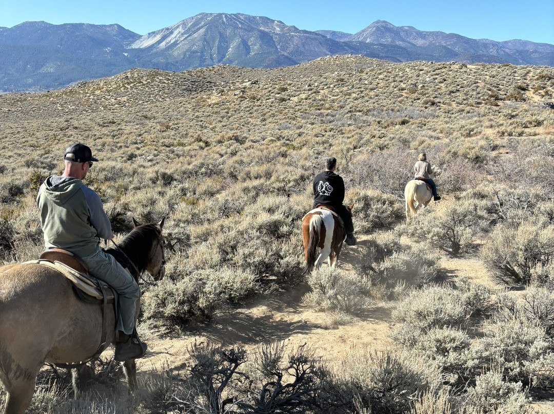 Heavenly Hoofprints-New Washoe City必去景点