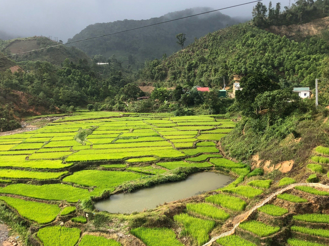 Explorer Steps-大勒必去景点