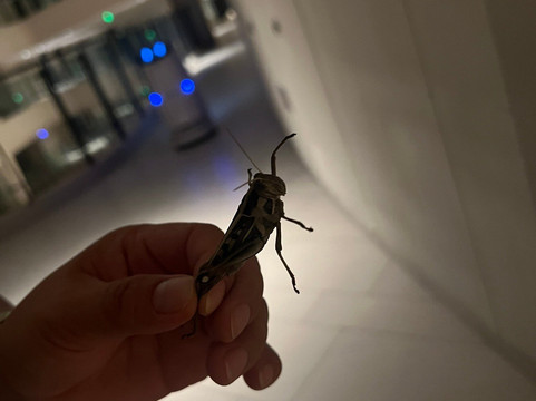 三亚康年酒店主图