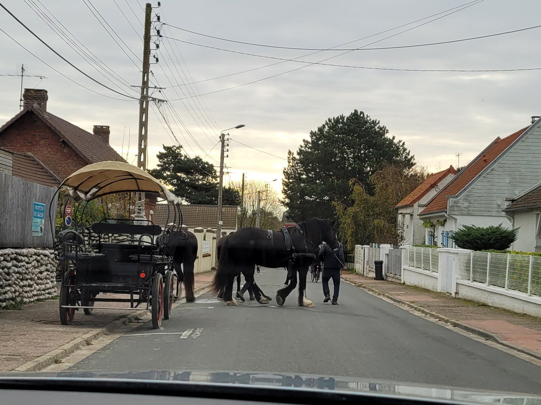 Carriage Outings景点图片