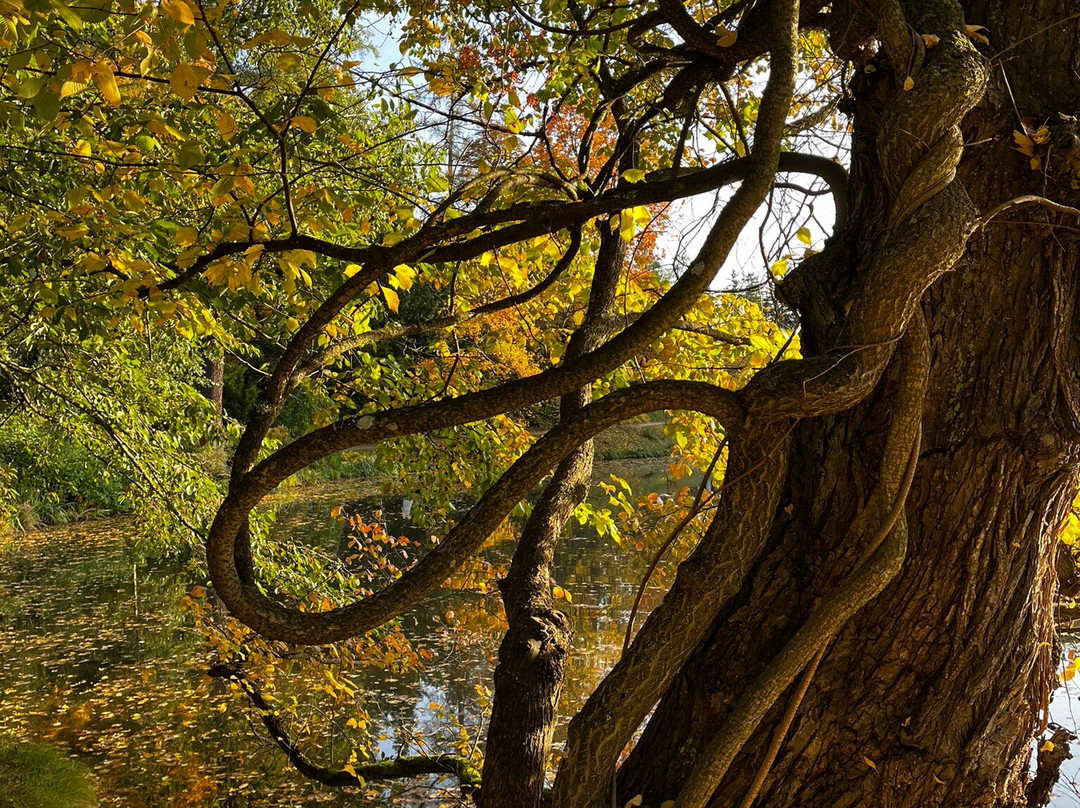 Pruhonice Park景点图片