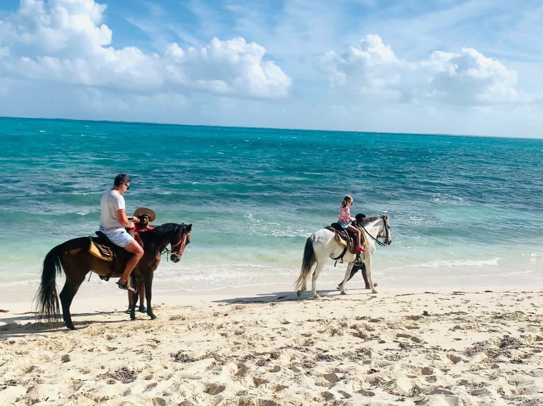 7p-Jey-Horse-普罗维登西亚莱斯必去景点