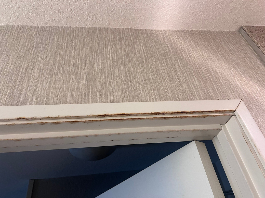 Holiday Inn & Suites Green Bay Stadium By IHG主图