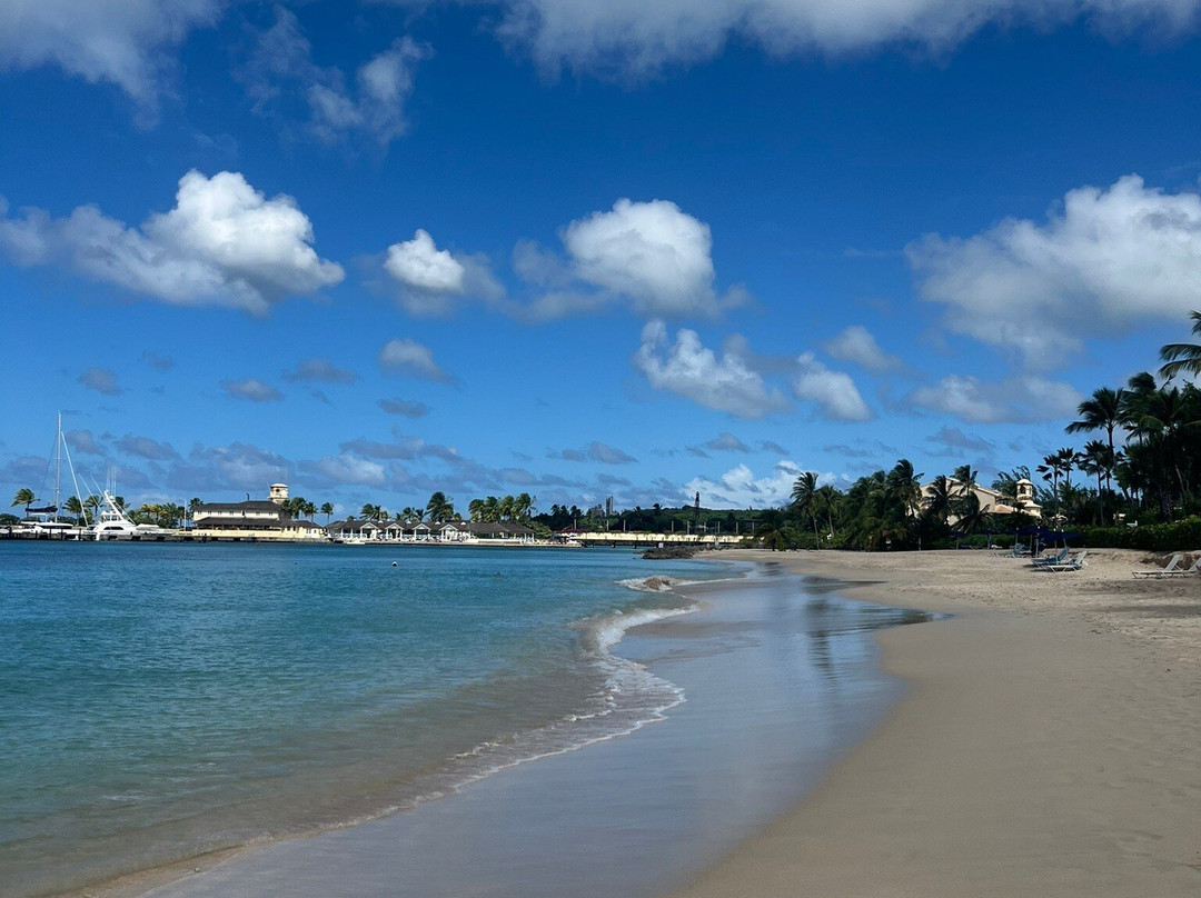 Port St. Charles主图