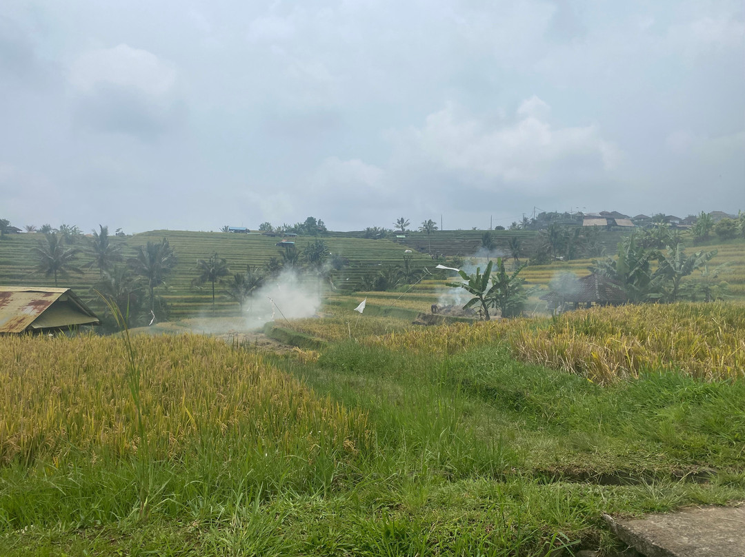 The Haere Seminyak By Astadala主图