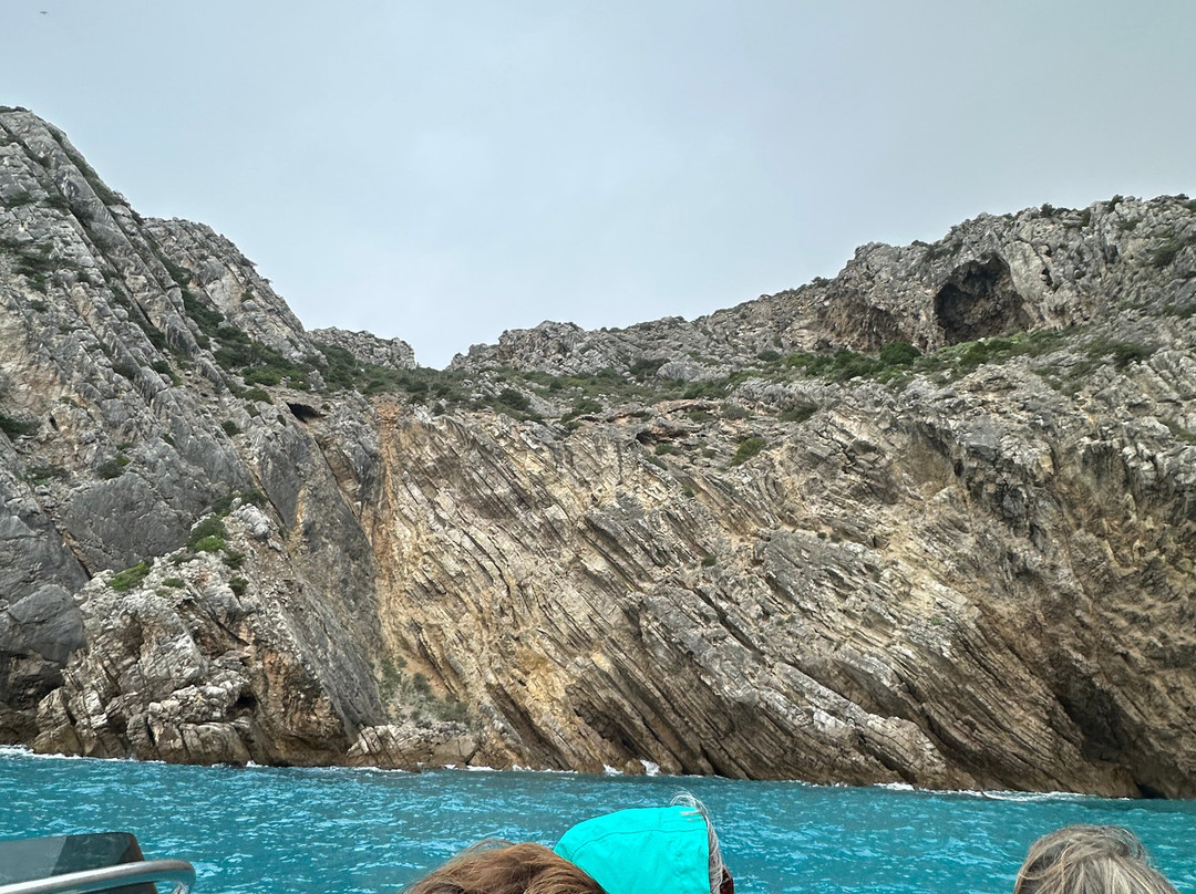 Arrábida Life-塞新布拉必去景点