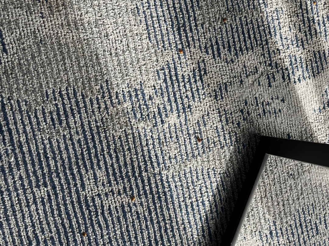 Hampton Inn By Hilton Cedar Falls Downtown主图