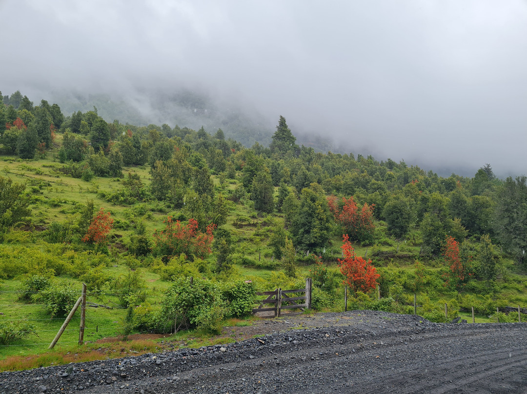 Agencia de turismo Somos Congui-Melipeuco必去景点