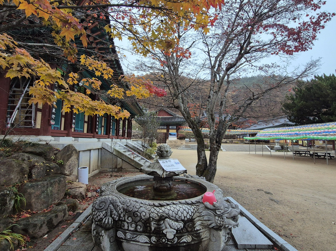 Eunhaesa Temple-永州市必去景点