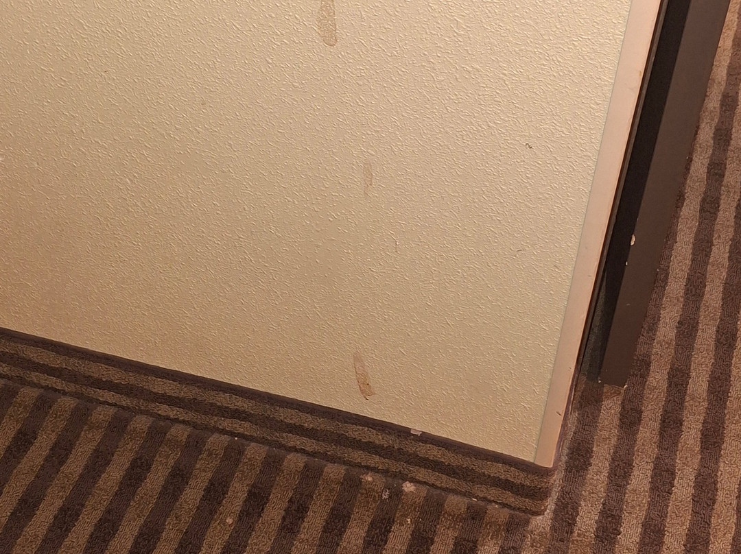 Best Western Plus Mishawaka Inn主图