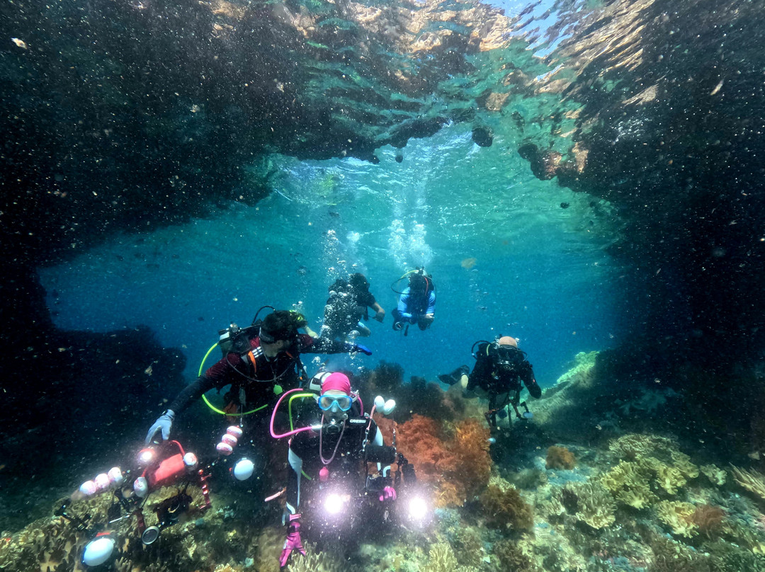 Arborek Dive Shop-Arborek必去景点