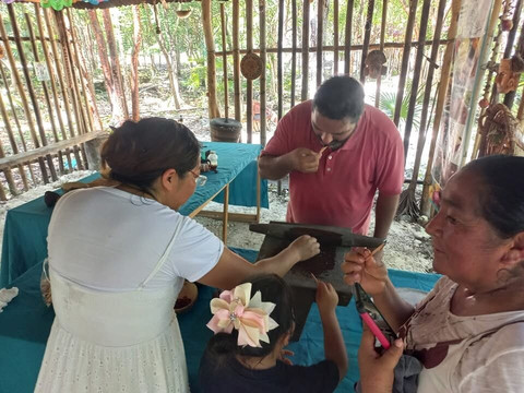 Bee Friendly Conservation Park-考祖梅必去景点