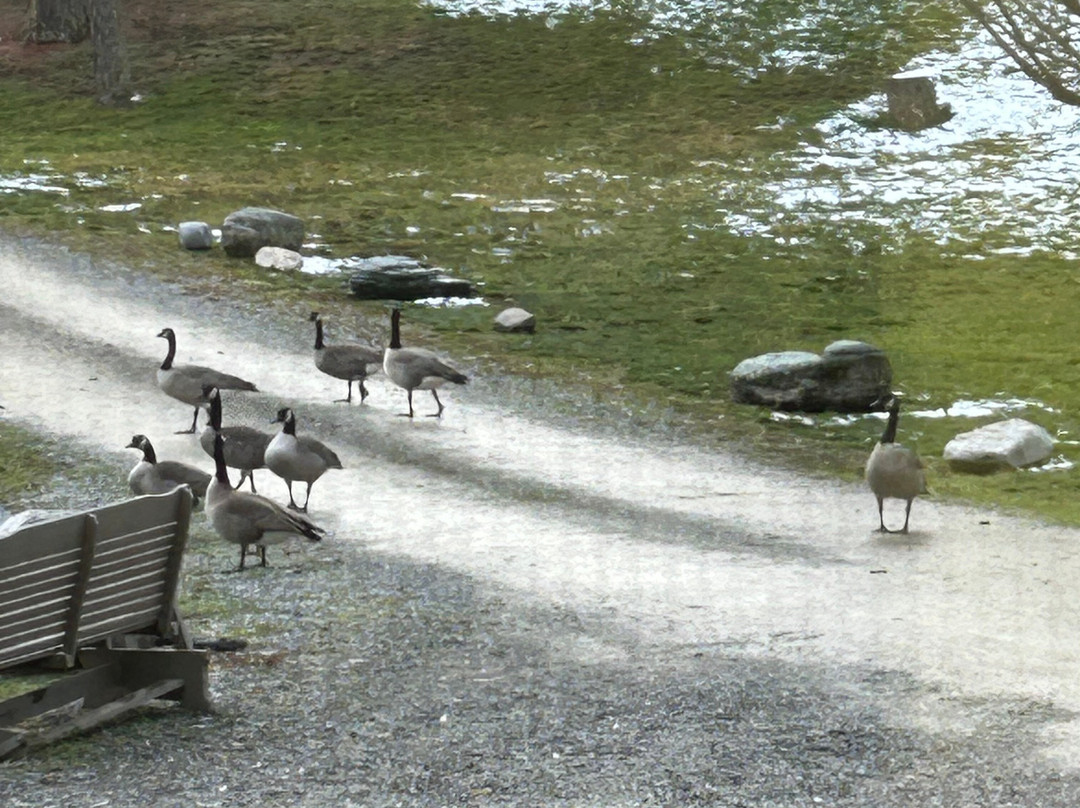 The Riverfront Motel & Cabins主图