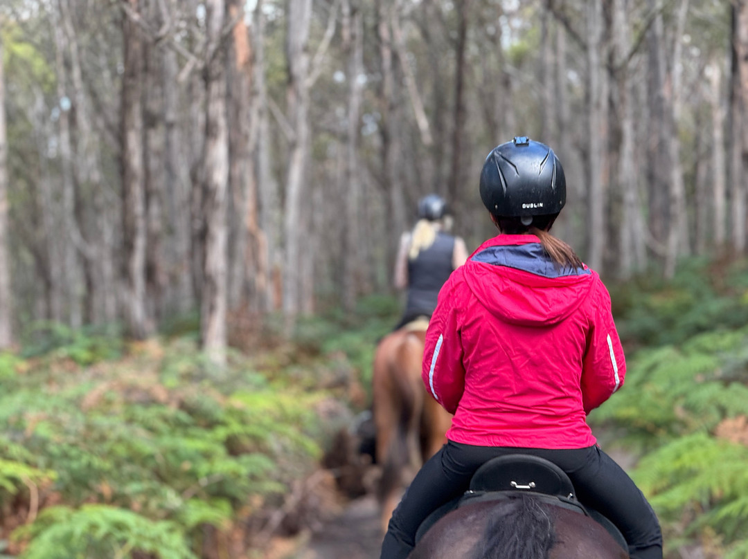 Horse Riding Tasmania景点图片