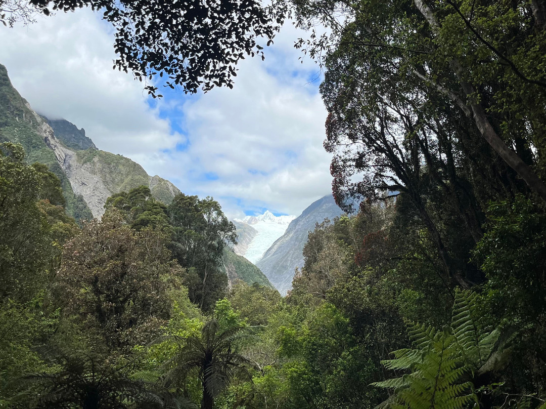 Fox Glacier South Side Walk景点图片