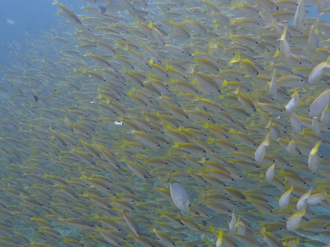 Sunrise Divers-卡伦必去景点