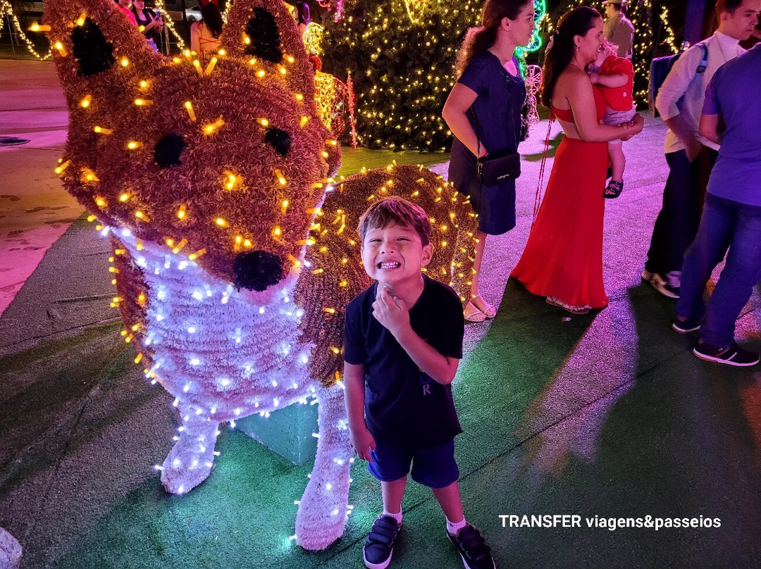 Centro Cultural Oscar Niemeyer-戈亚尼亚必去景点