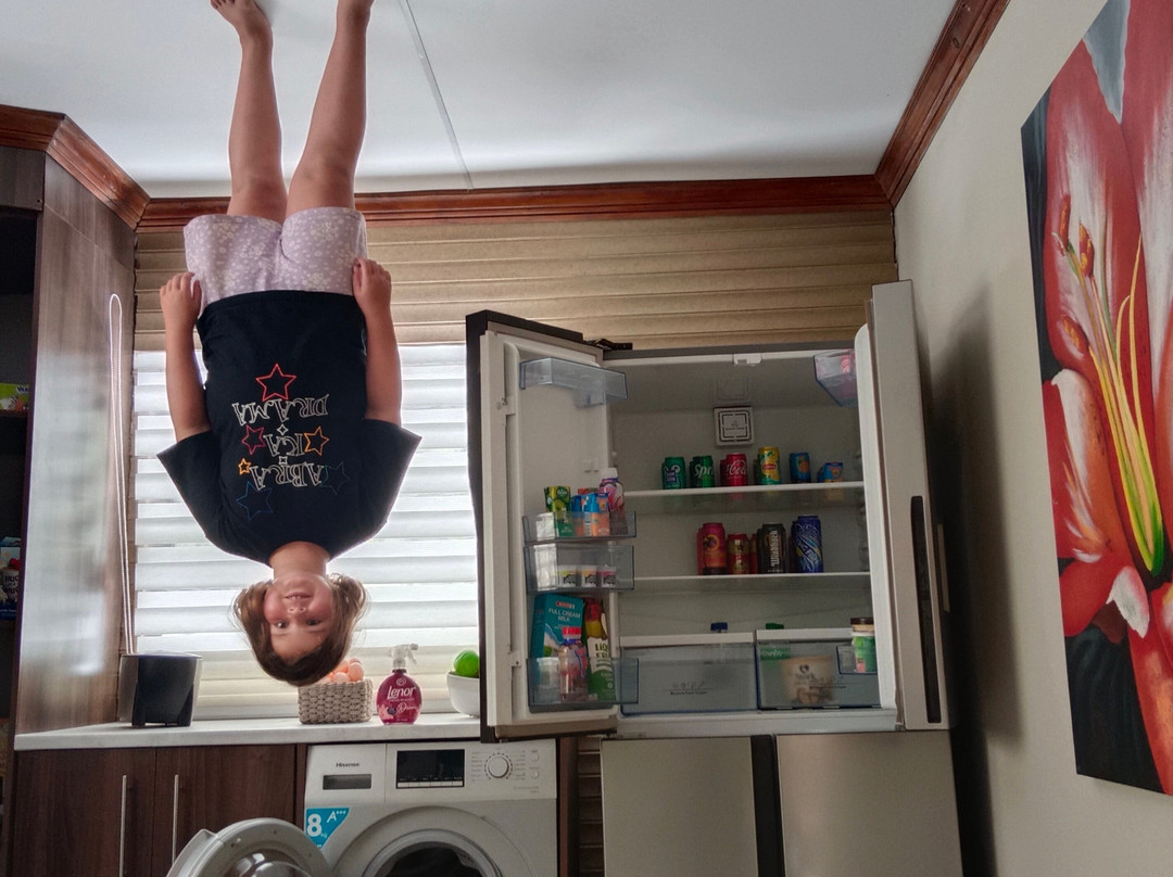 Upside Down House-Broederstroom必去景点