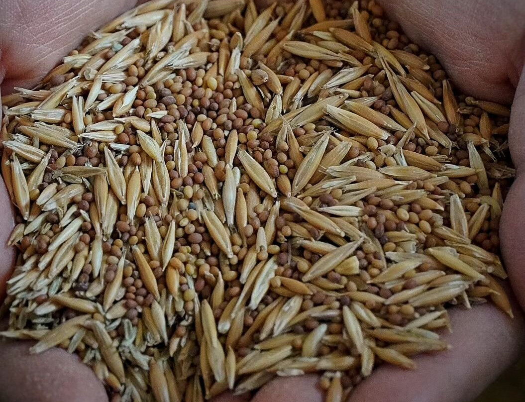 Museo Molino Garau - Agrobass - Sardinian Farm-Guspini必去景点