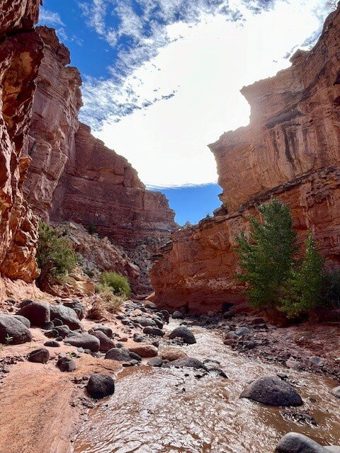 Waterpocket Adventure Company-托里必去景点