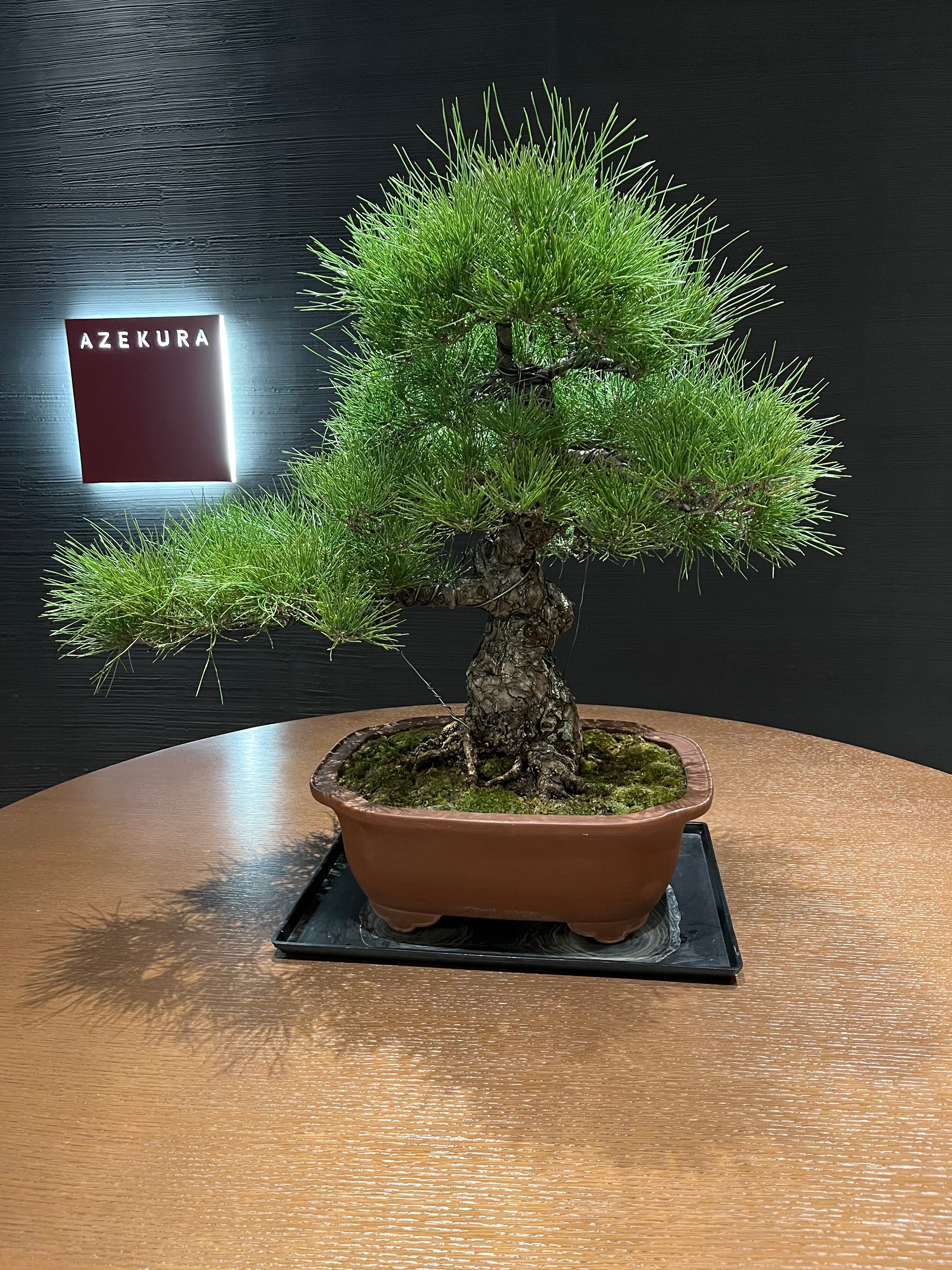 Jw Marriott Hotel Nara-浴室
