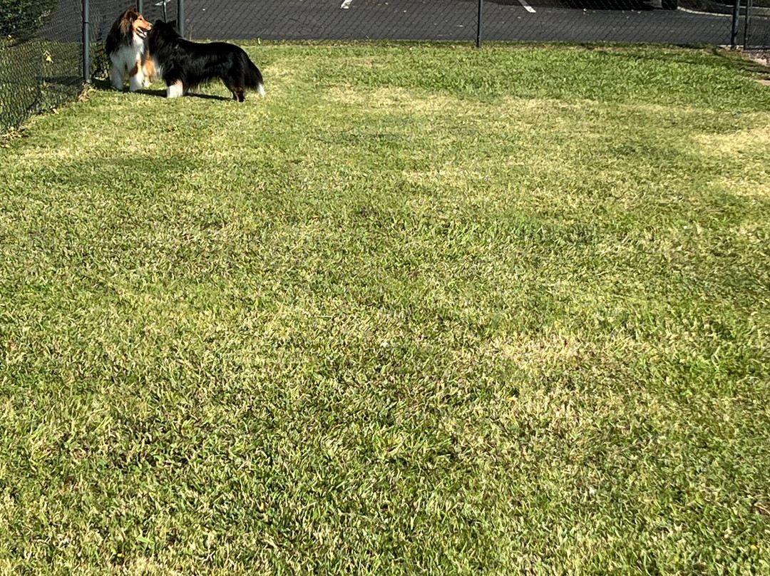 阿德尔希尔顿恒庭酒店主图