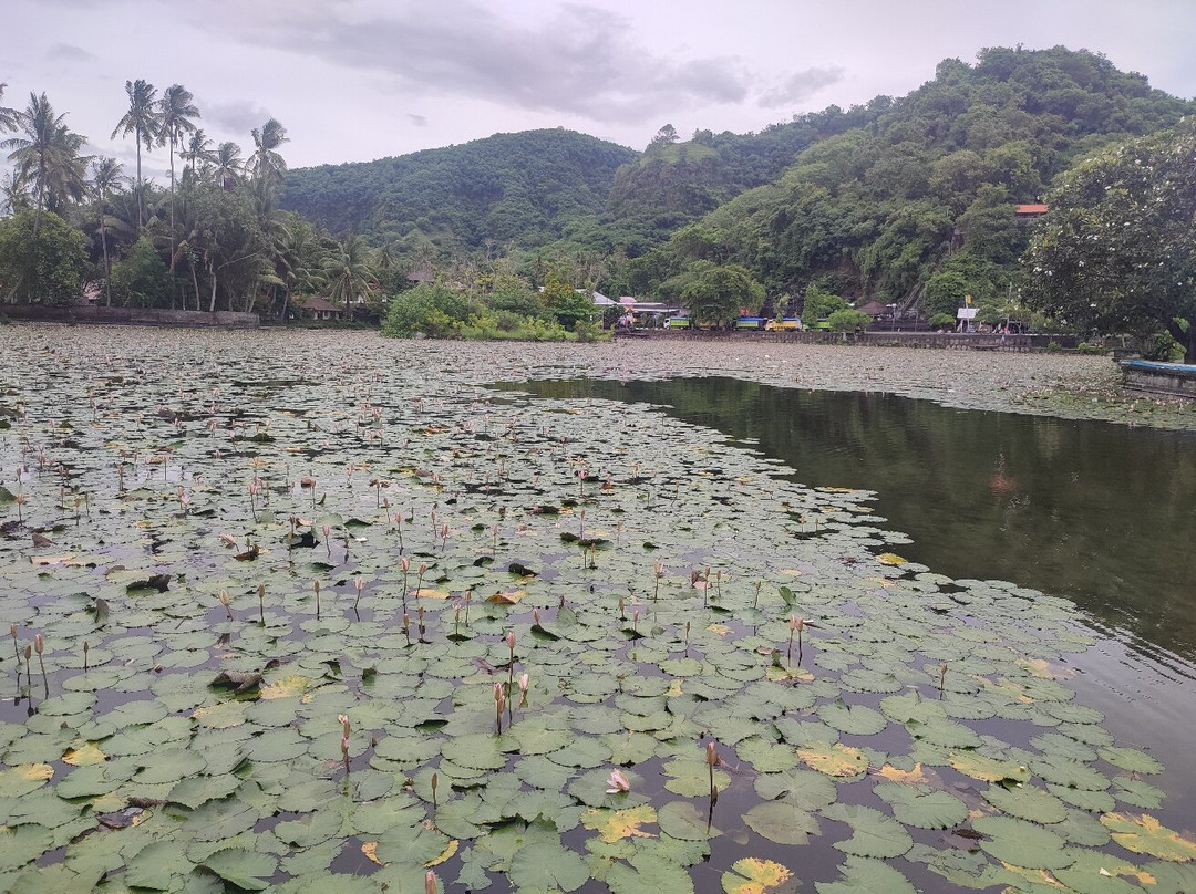 Lotus Lagoon-甘地达萨必去景点