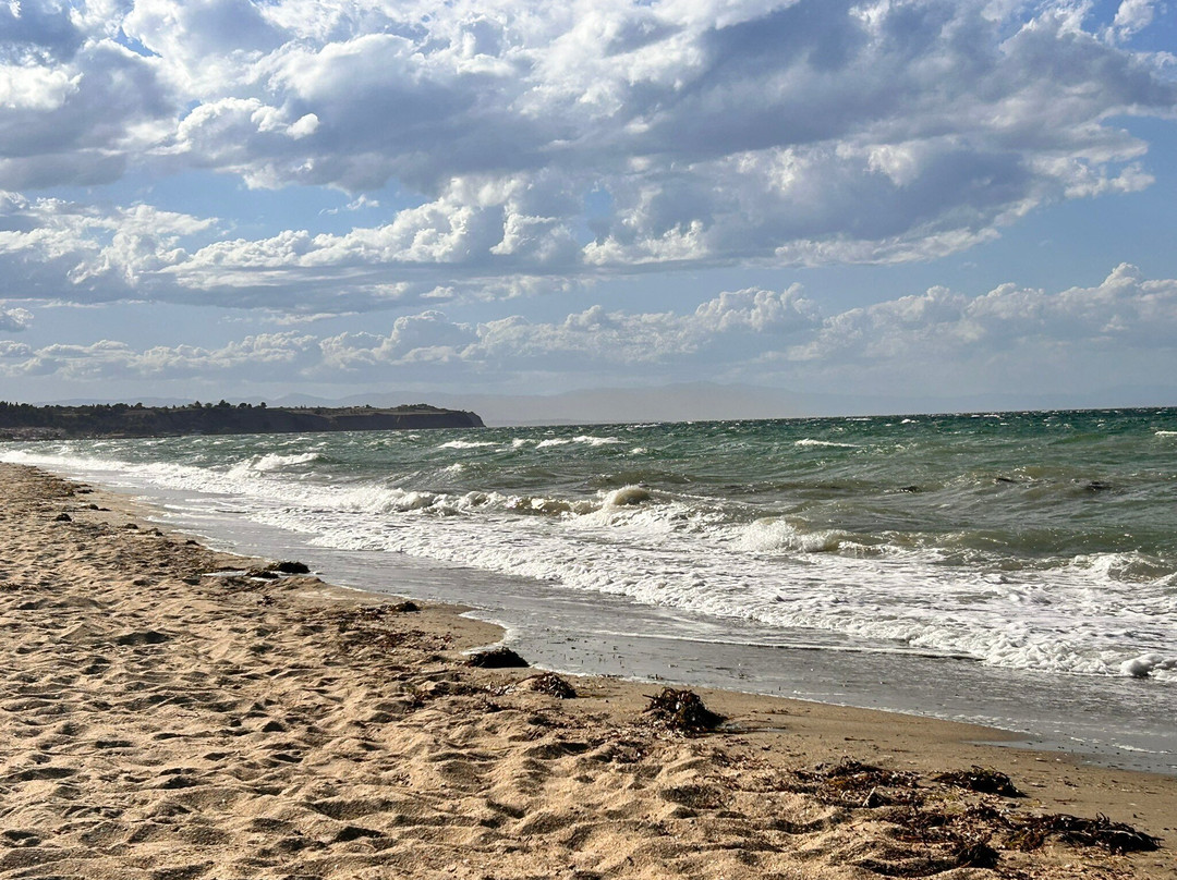 Neoi Epivates Beach景点图片