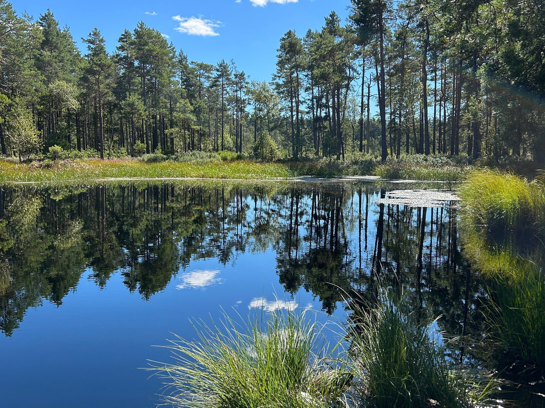 Store Mosse Nationalpark-Hillerstorp必去景点