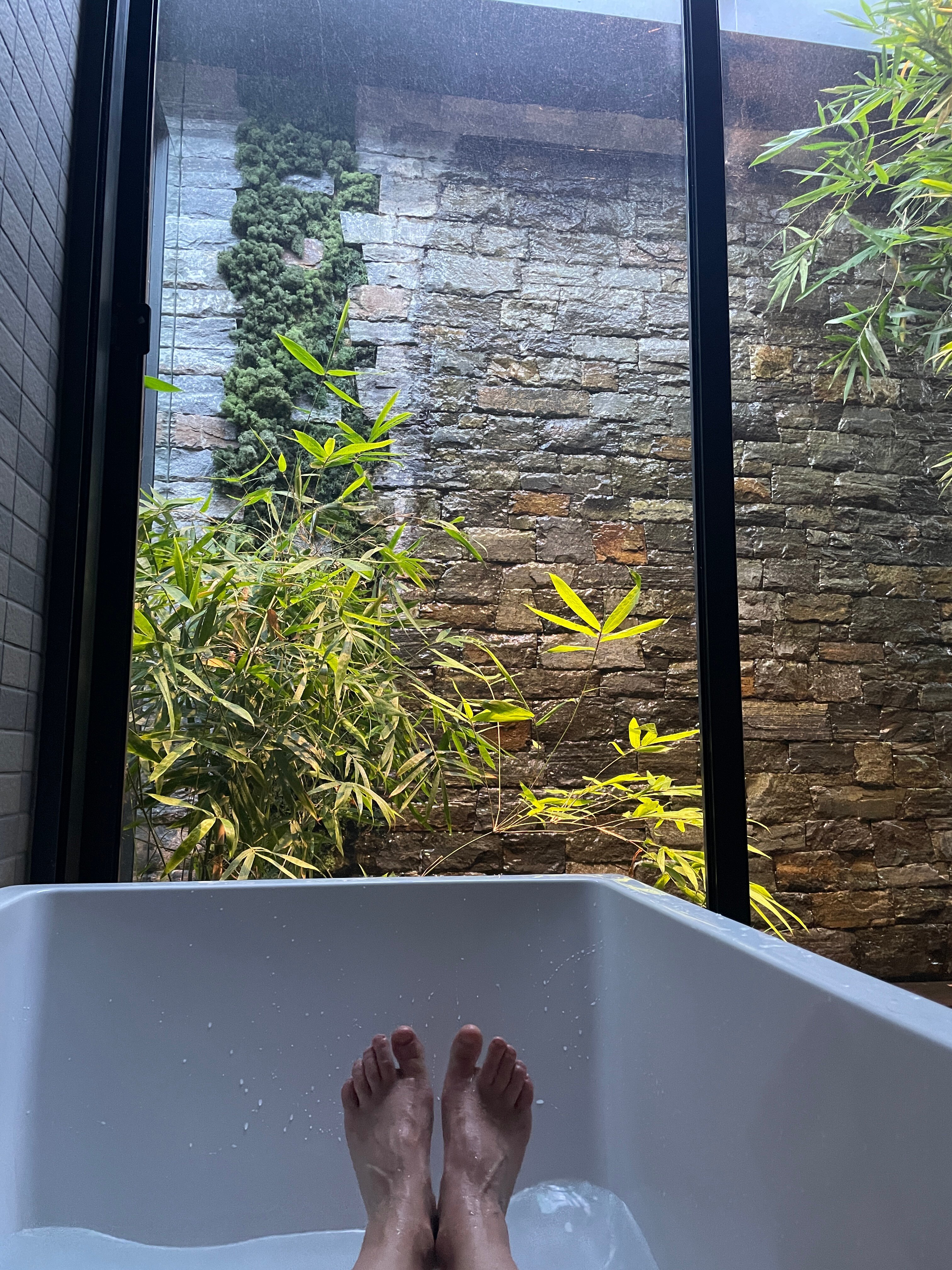 Samadhi Spa & Wellness Retreat-客卧