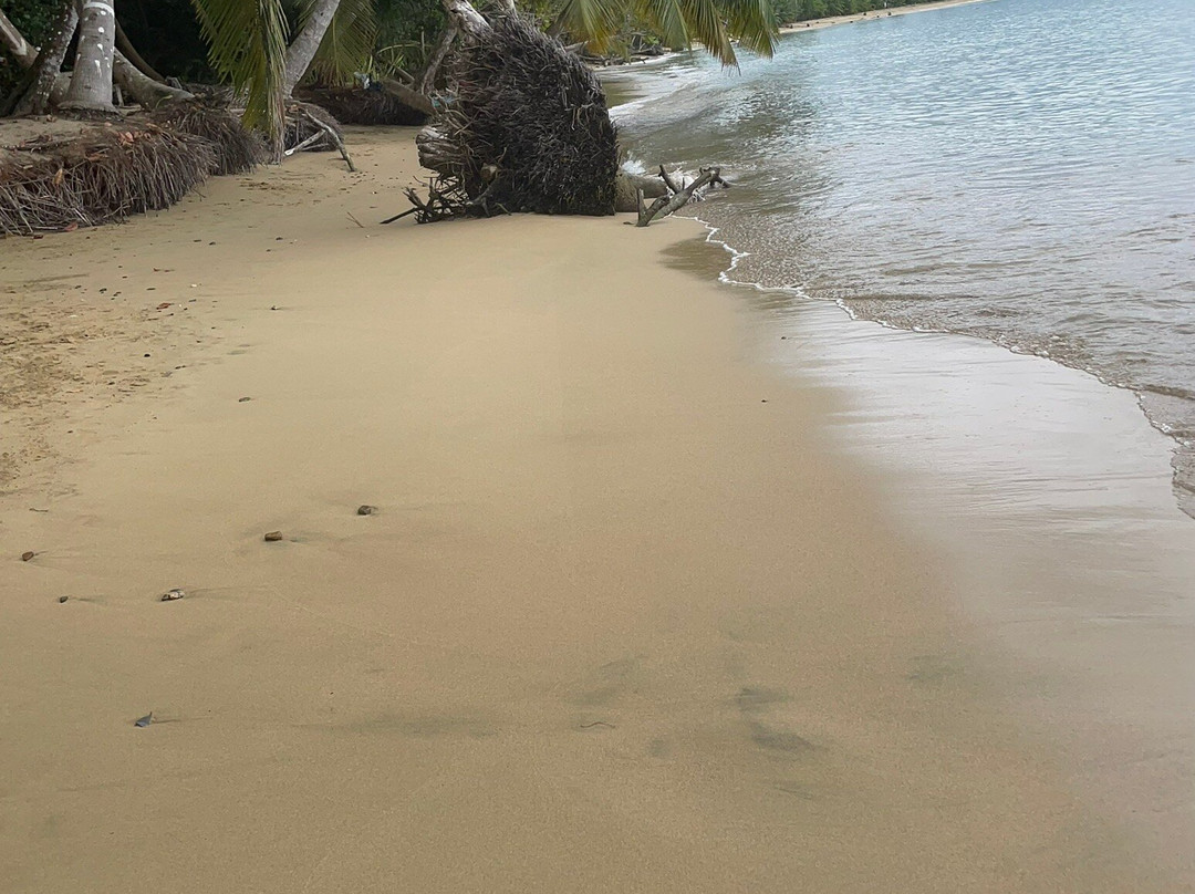 Parque Nacional Tres Hermanos-Anasco必去景点