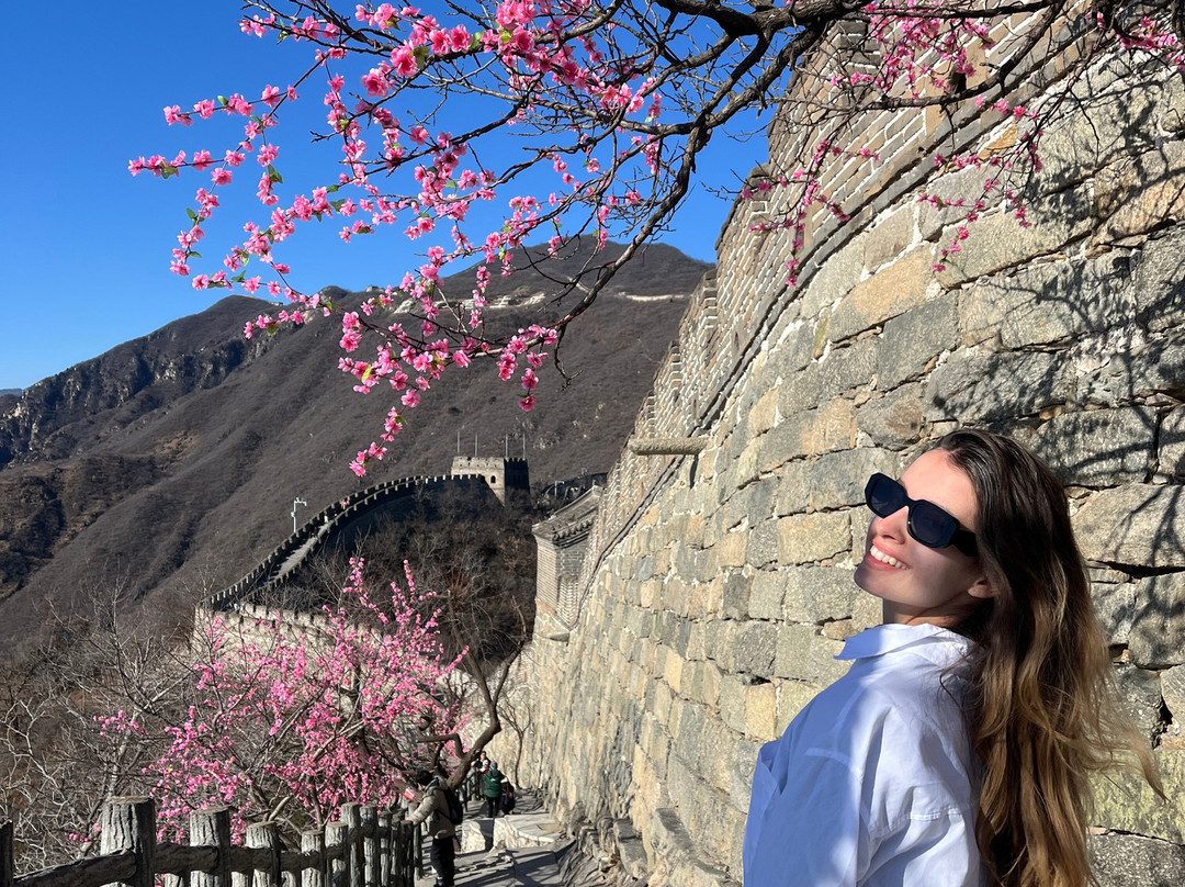Beijing Tour Service-北京市必去景点