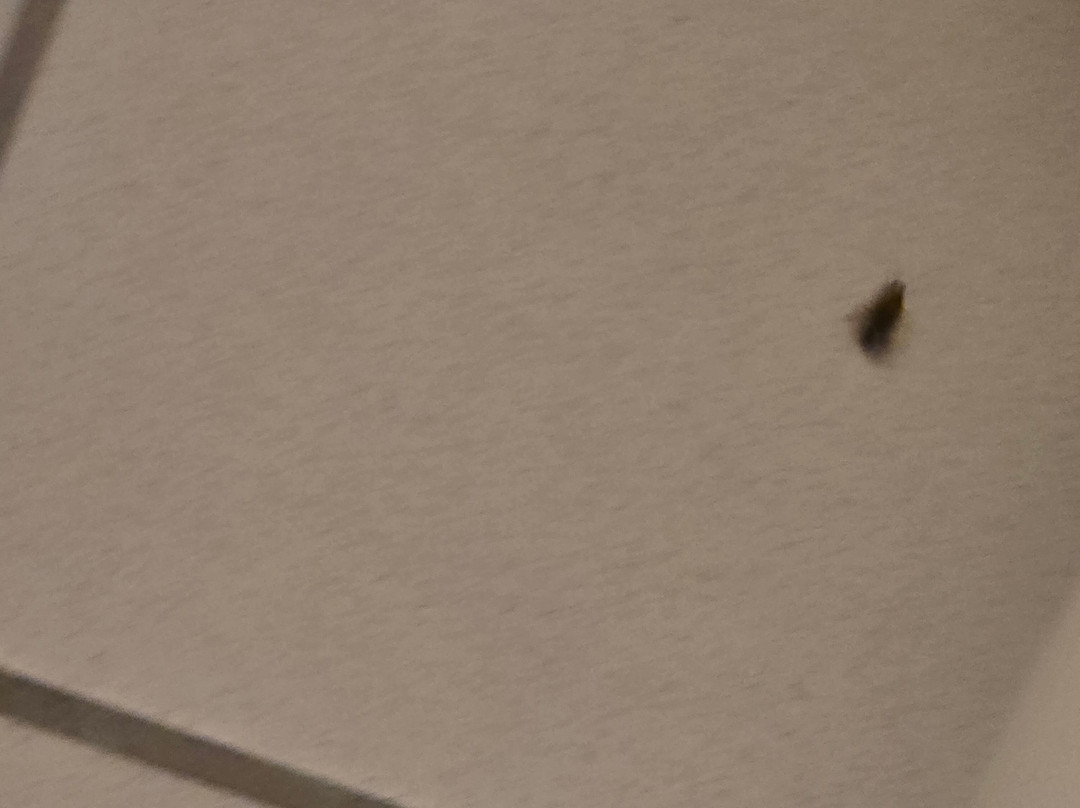 Baymont By Wyndham Indianapolis主图