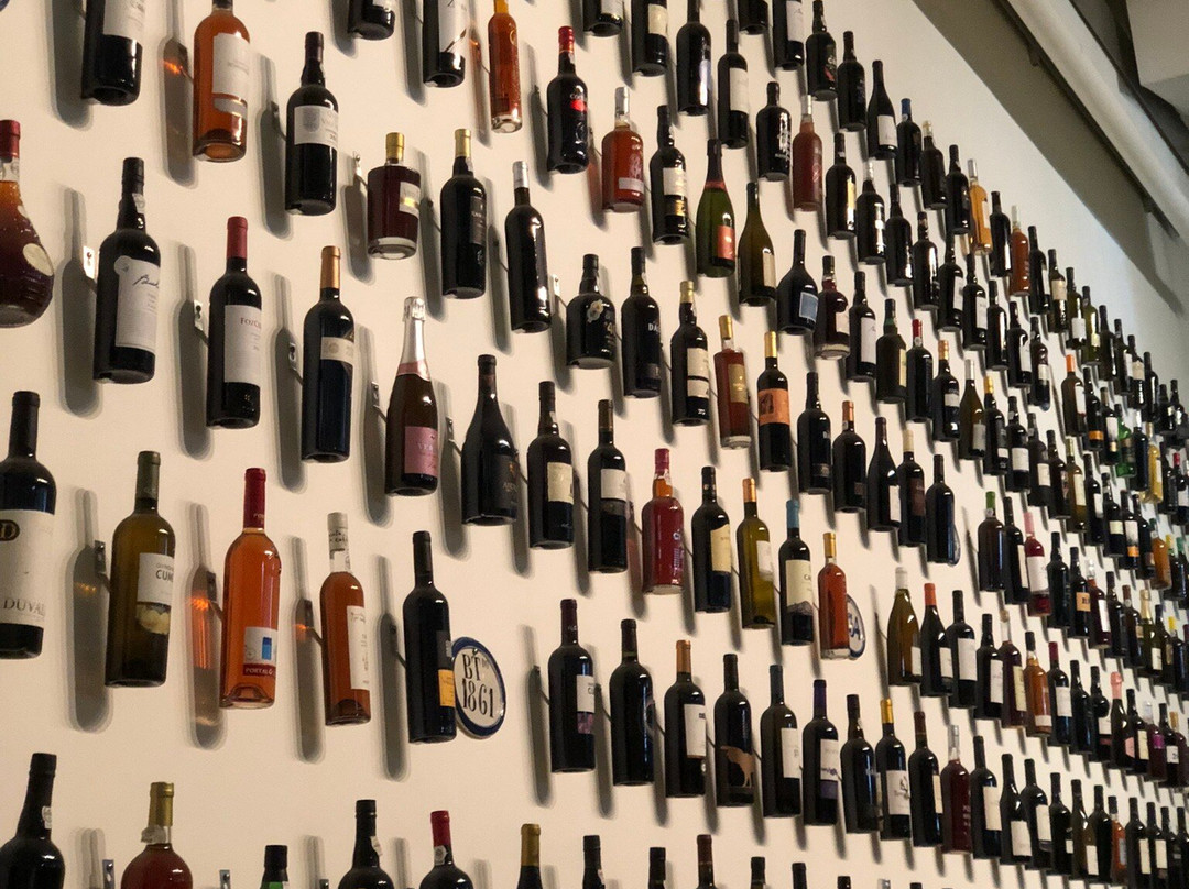 Museu do Douro景点图片