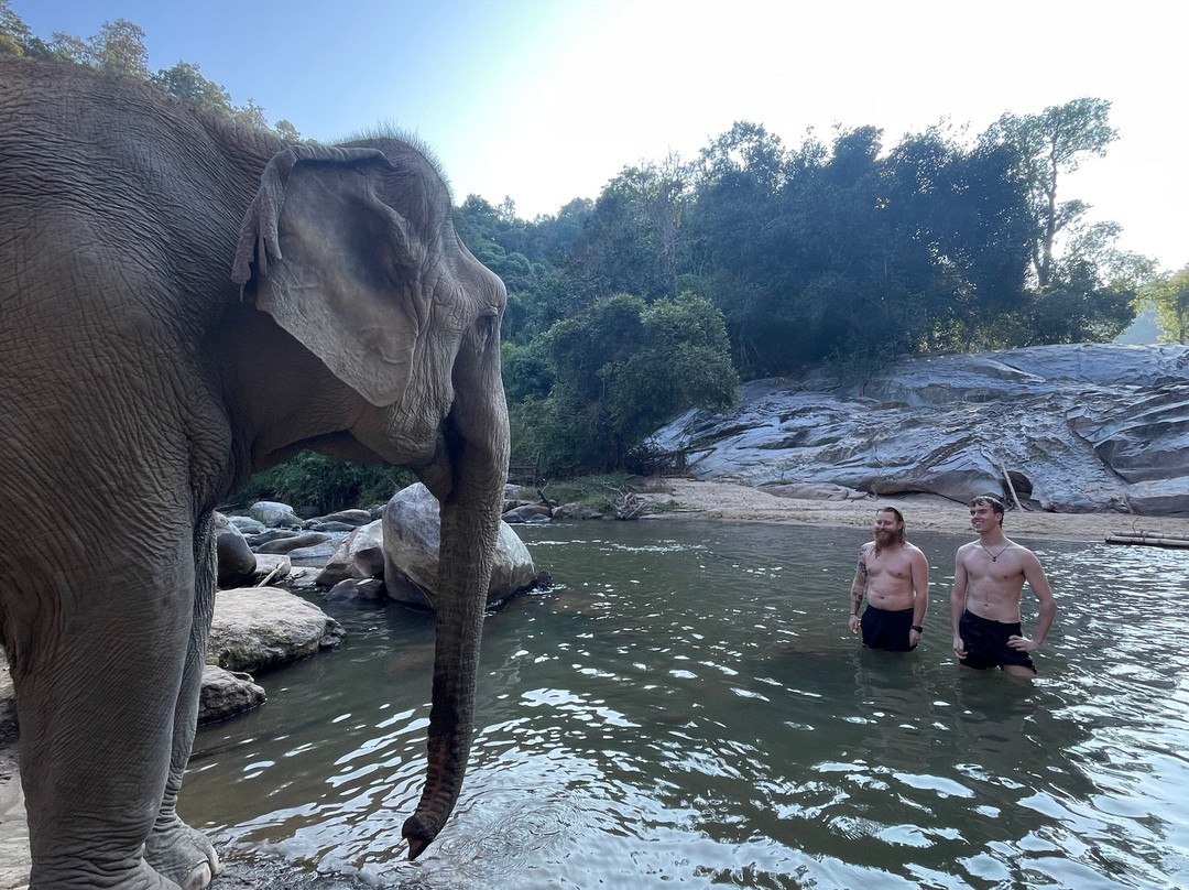 Joy Elephant Sanctuary景点图片