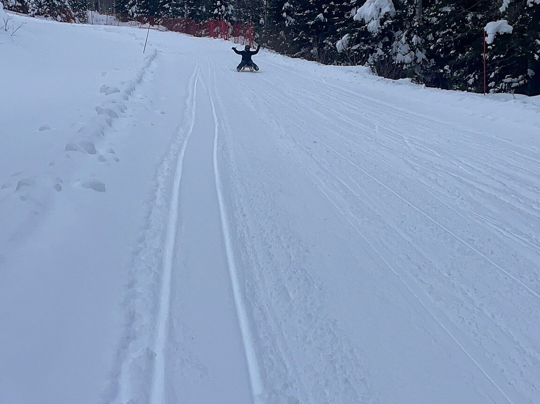 Luge-Petite-Riviere-Saint-Francois必去景点