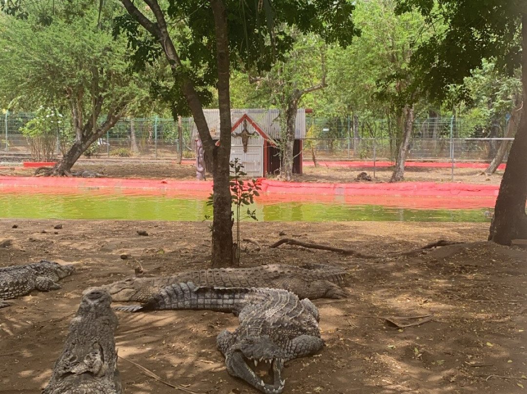 Croc Parc景点图片