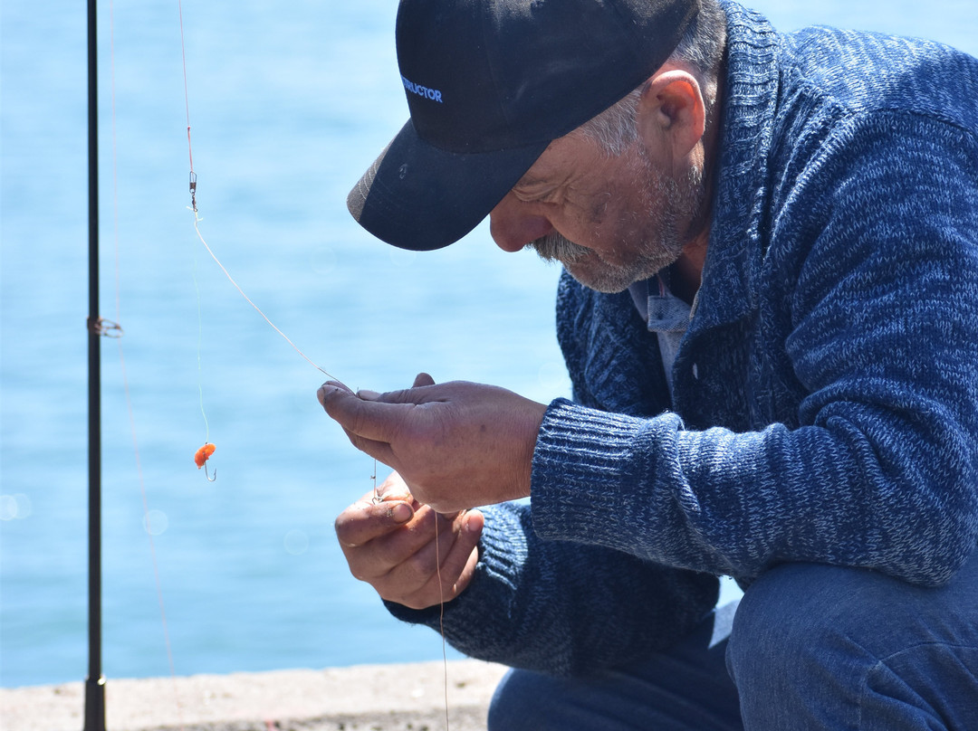 Caleta Tumbes-Talcahuano必去景点